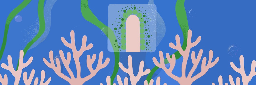 Best Practices for Recording High-Quality Audio for Online Courses