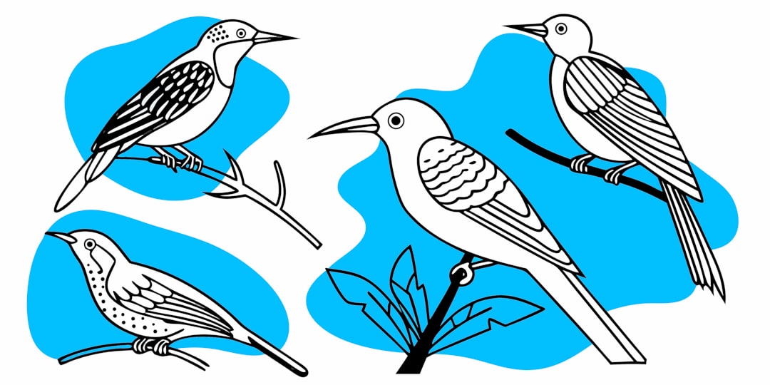 Four different birds are depicted on branches.